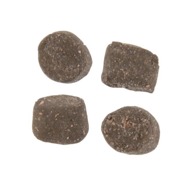 POWERBAIT TROUT NUGGETS ORGINAL