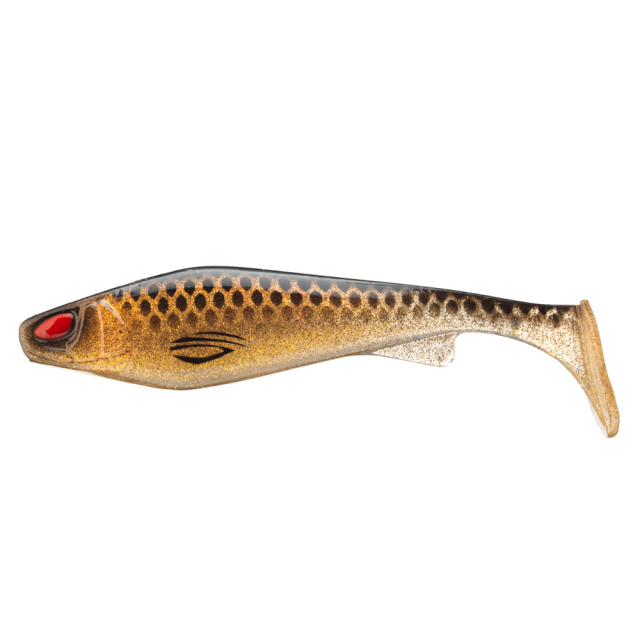 Spotted Bullhead