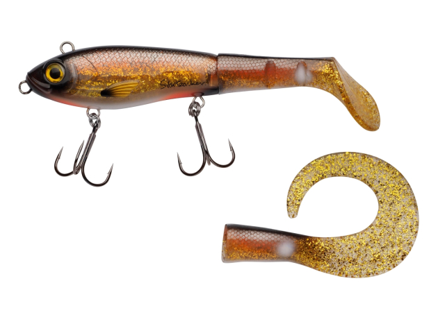 Crucian Carp