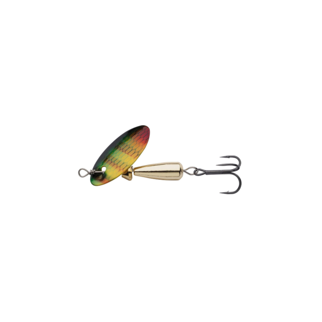 Yellow Perch