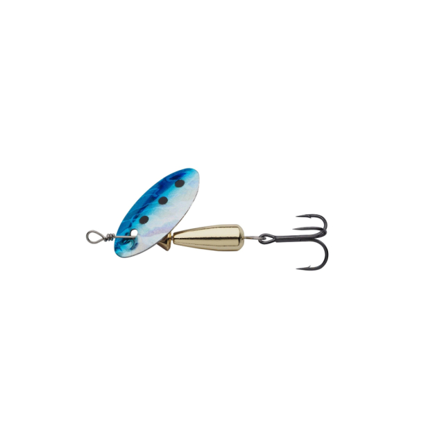 Sardine