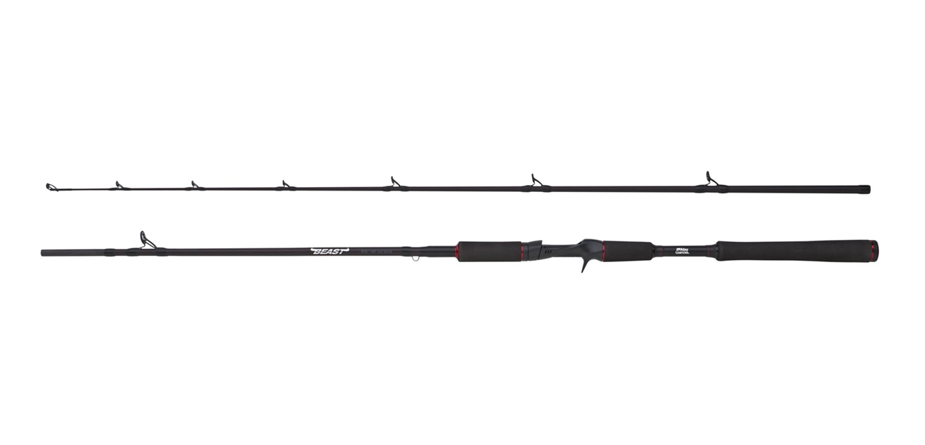 Abu Garcia® Beast Pike 662HP 40-90g Jerkbait Casting