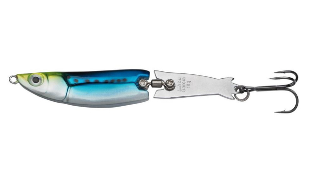Blue Sardine