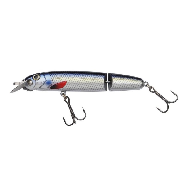 Blue Herring