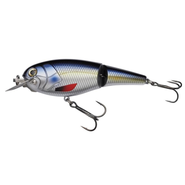 Blue Herring