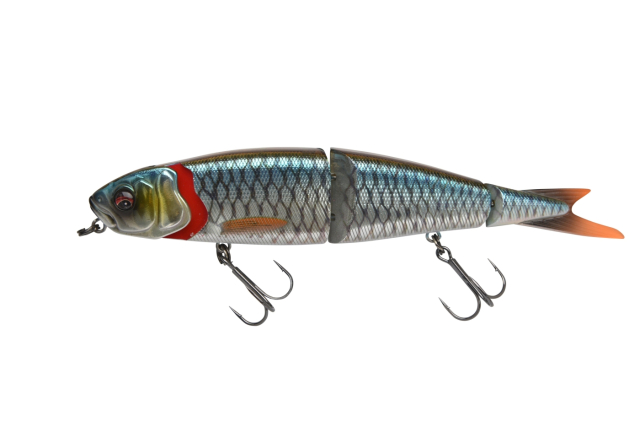Roach