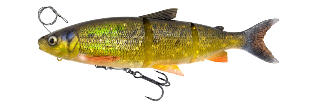 Dirty Whitefish
