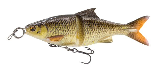 Bream