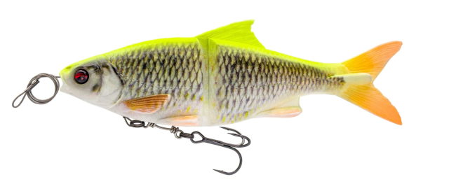 Lemon Roach