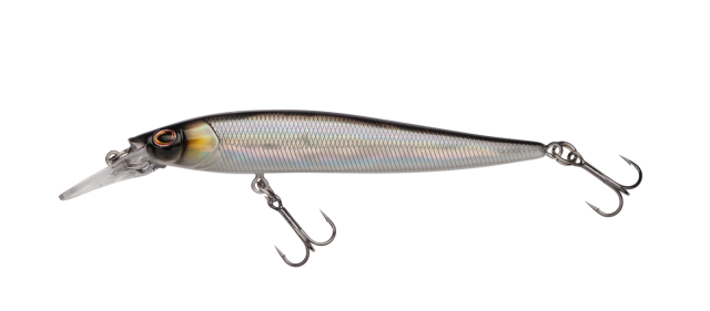 Baitfish