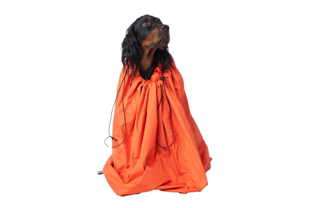 Protector sovepose for hund Oransje
