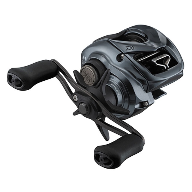 Daiwa 24 TATULA SV TW 100HL