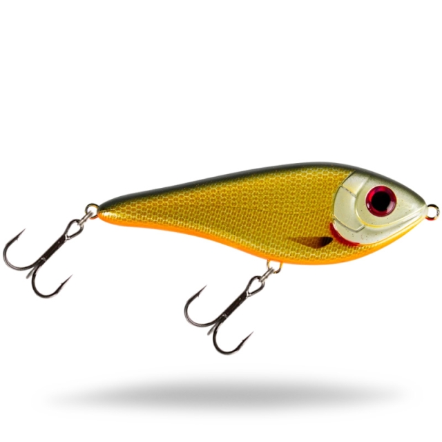 Baby Perch
