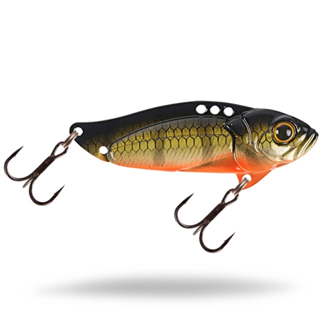 Baby Perch