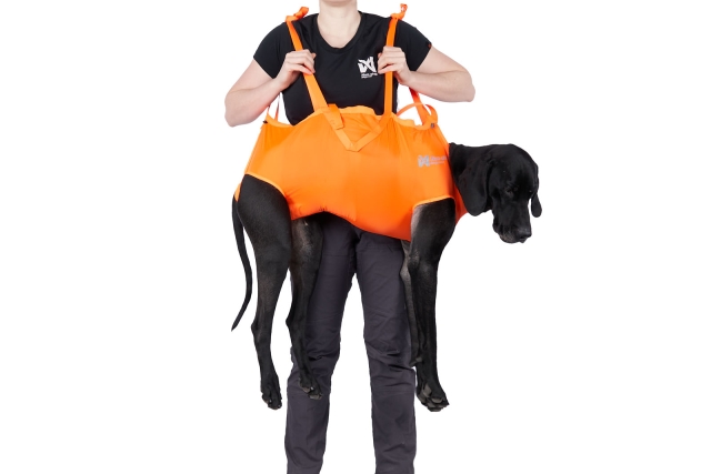 Hunderettungsgeschirr Orange