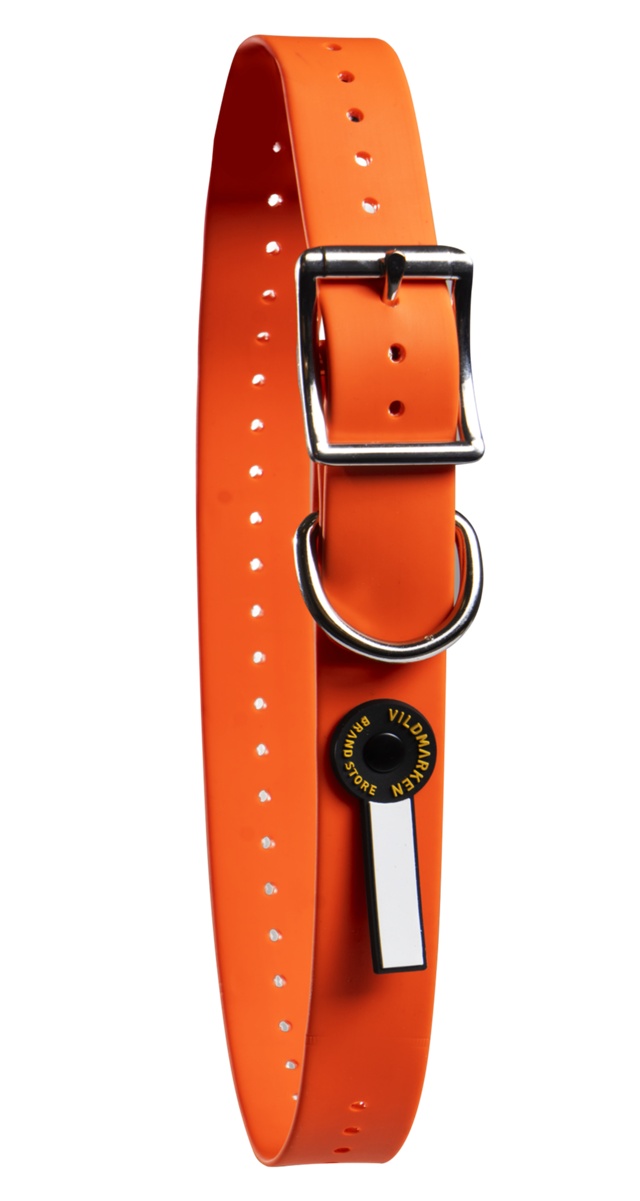 Vattentätt hundhalsband Orange