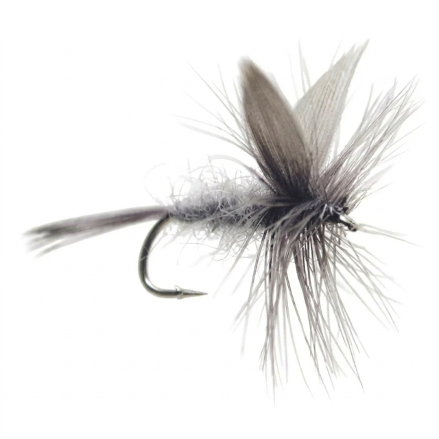 Torrfluga Blue Dun #12 
