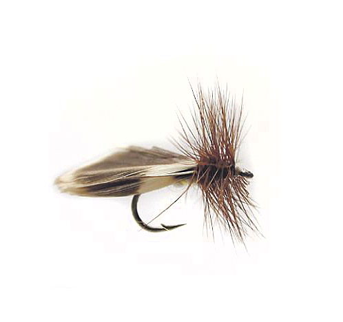 Torrfluga Europa 12 #12