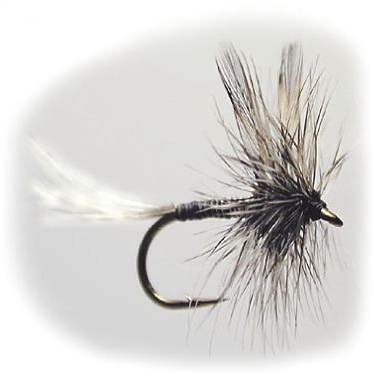 Trockenfliege Mosquito #12