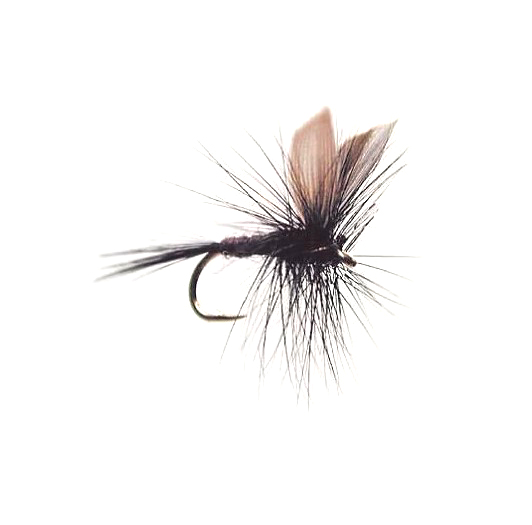 Wiggler® Torrfluga Black Gnat #12