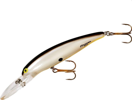 Pearl Black Back Orange Belly