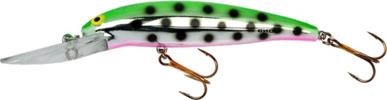 Chrome Green Back Pink Belly