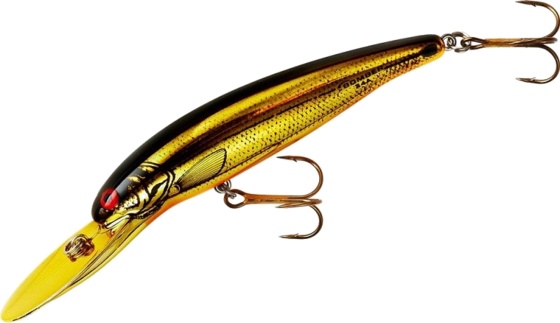 Gold Chrome Black Orange