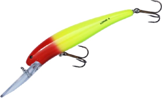 Chartreuse Red Head