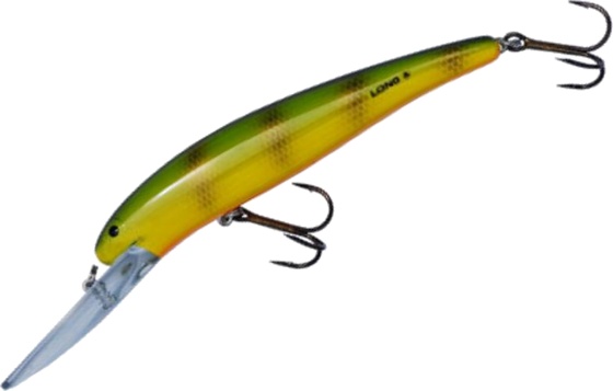 Perch