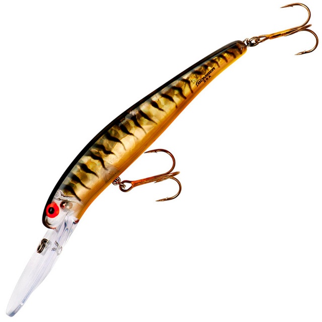 Gold Prism Black Orange