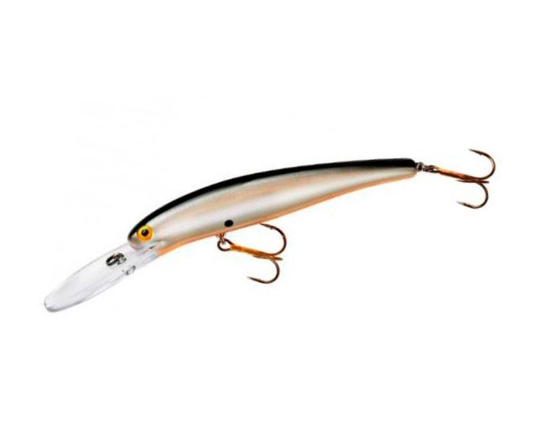 Pearl Black Back Orange Belly
