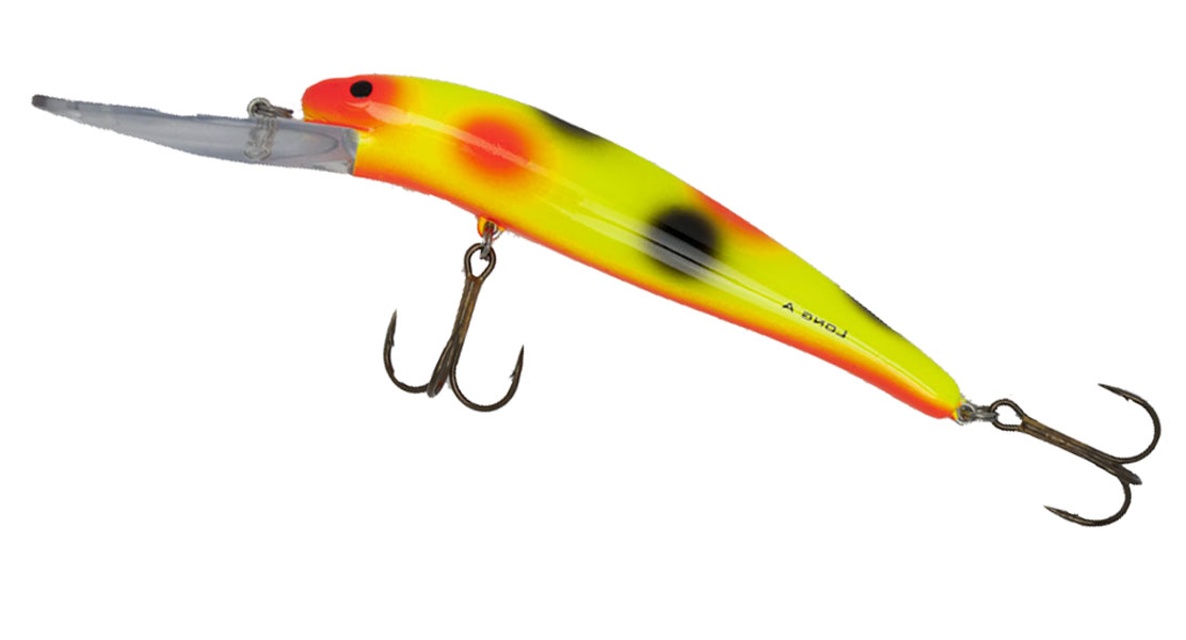 Yellow Orange Black Spots