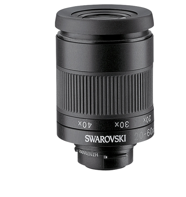 Swarovski Optik Eyepiece 20-60x