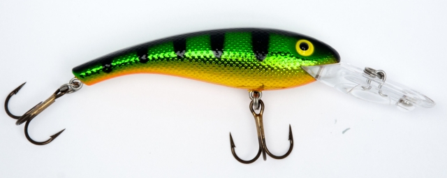 Gold Perch