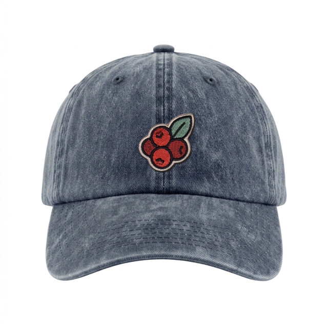 Preiselbeere - Vintage Washed Dad Cap - Blau