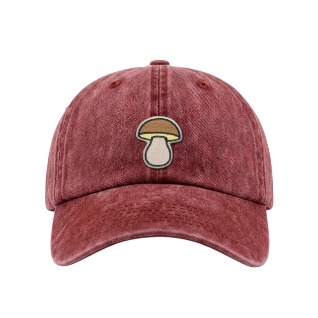 Herkkutatti - Vintage Washed Dad Cap - Punainen