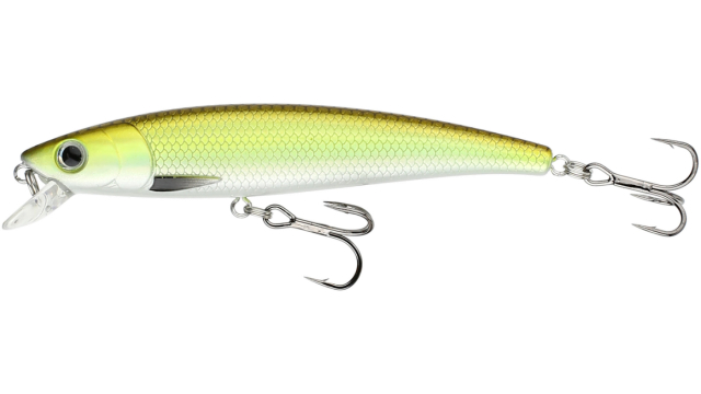 Smelt
