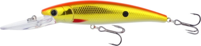 Golden Shiner