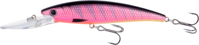Salmon Tiger