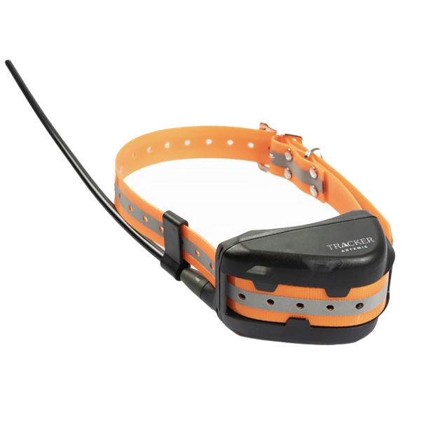 Tracker Artemis Easy 4G/IOT Hund-GPS