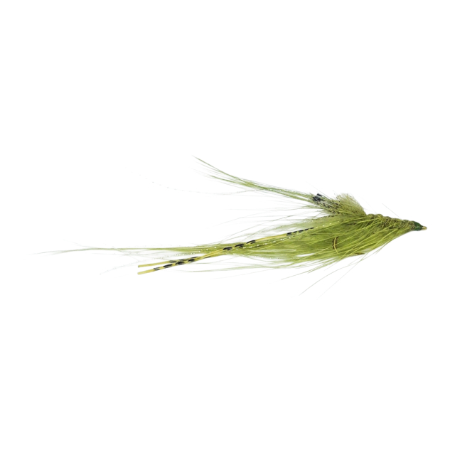 Räkor - Pattegrisen Oliv #6 (12p)