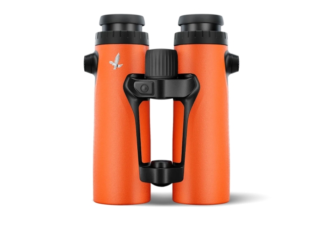 Burnt-Orange