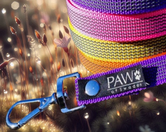 PAW Of Sweden® Spårlina Super Grip 10 m orange
