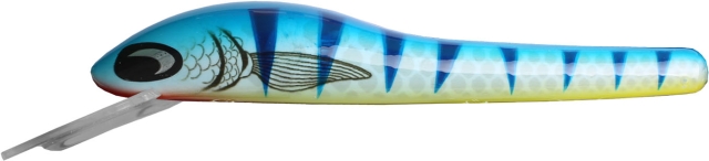Tiger Blue Lemon