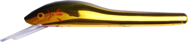 Golden Shiner