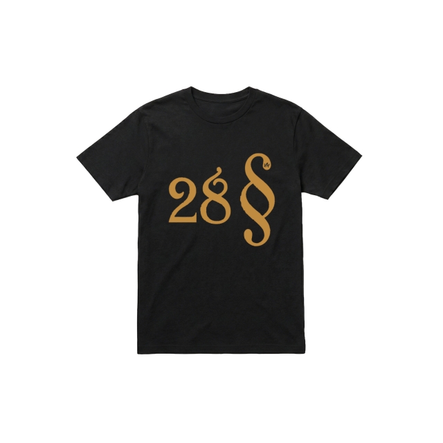 Paragraf 28