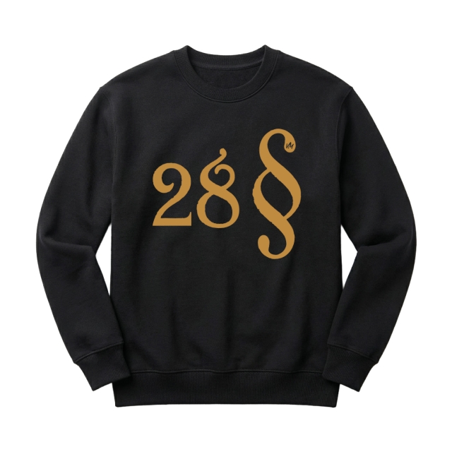 Paragraf 28