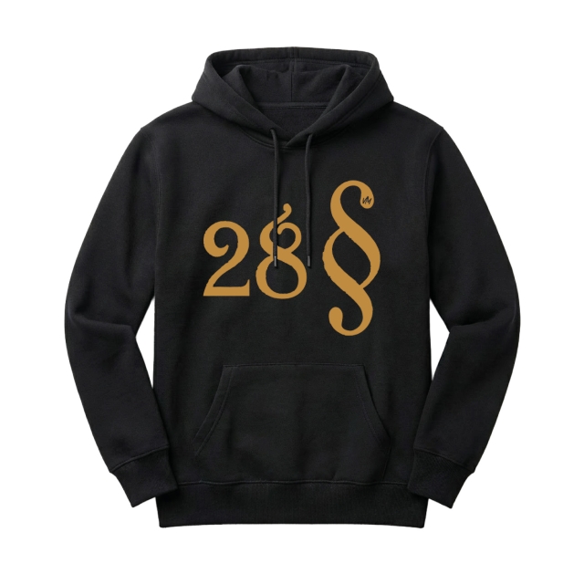 Paragraf 28