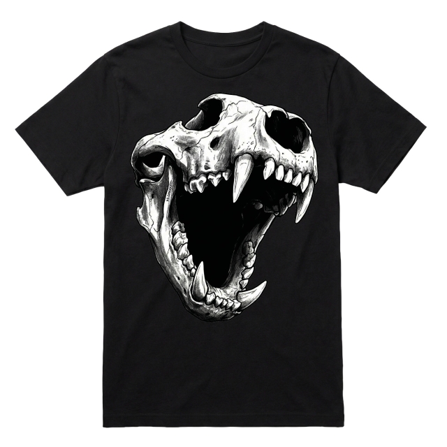 Bear Skull