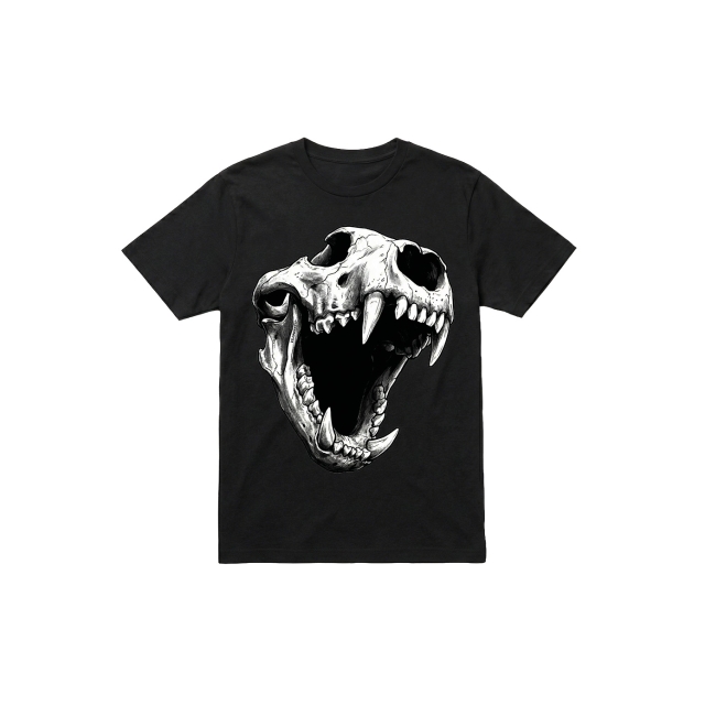 Bear Skull